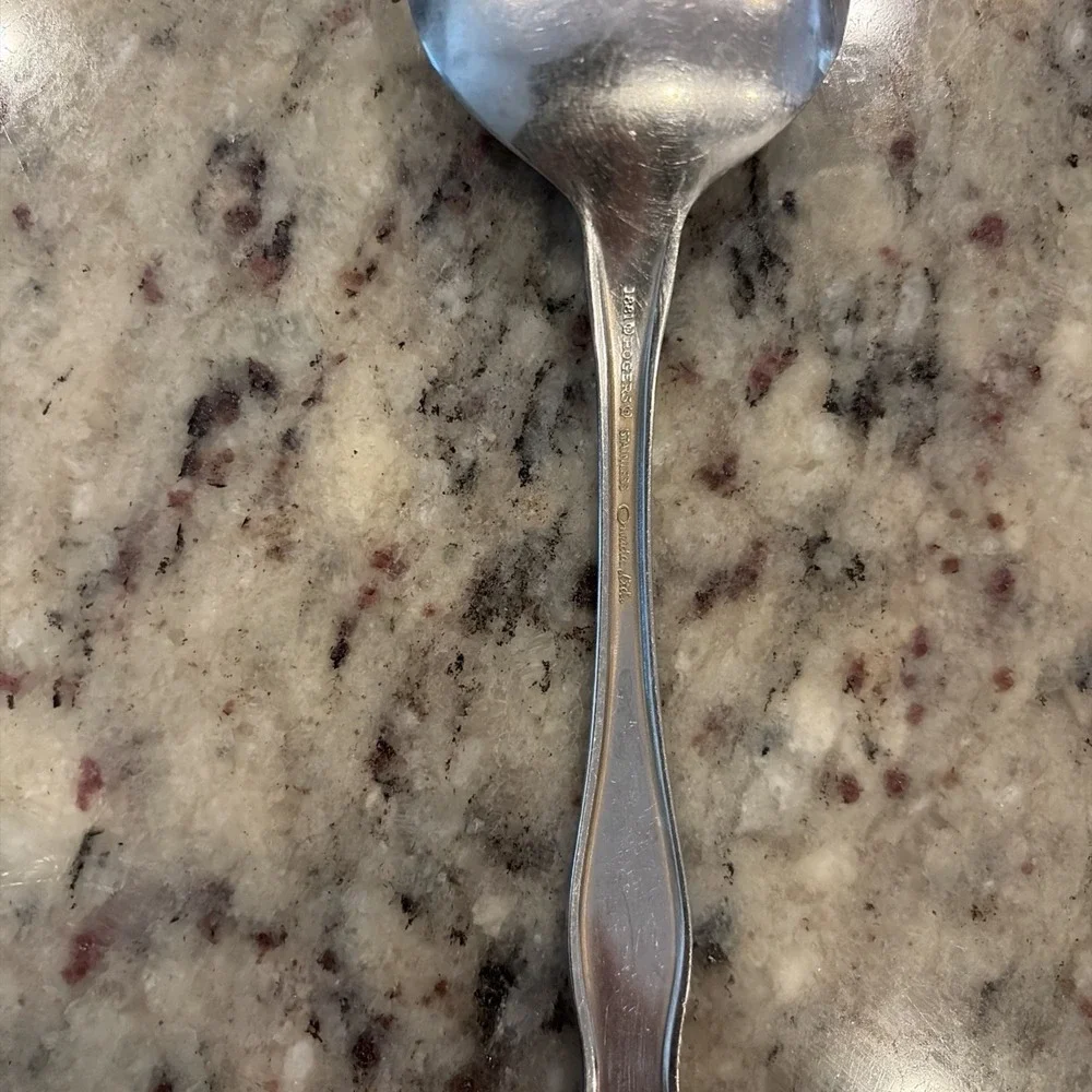 Set of 2 Oneida 1881 Rogers Twilight Burnished Stainless Serving Spoons 8.25